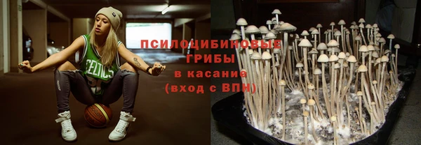 герыч Зерноград